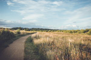 rural property