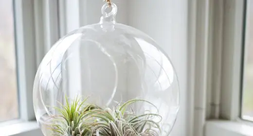 home trends for 2017