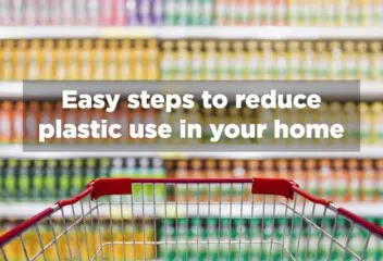 How to cut the plastic in your home