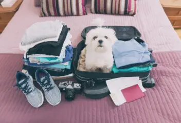 Off on holiday? Here’s how to keep your home safe