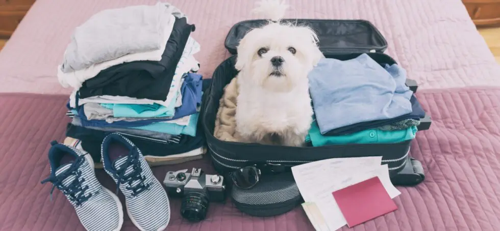 Off on holiday? Here’s how to keep your home safe