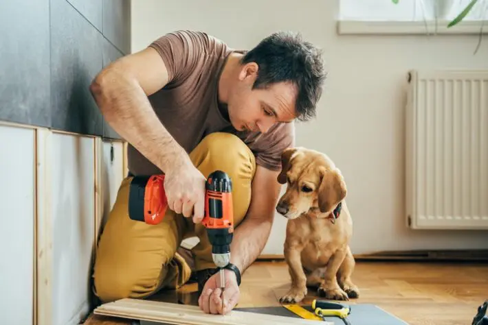 Five pet-friendly home improvements