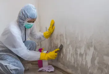 fix damp walls