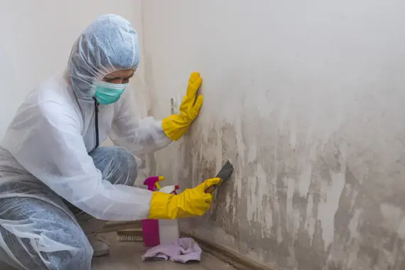 fix damp walls