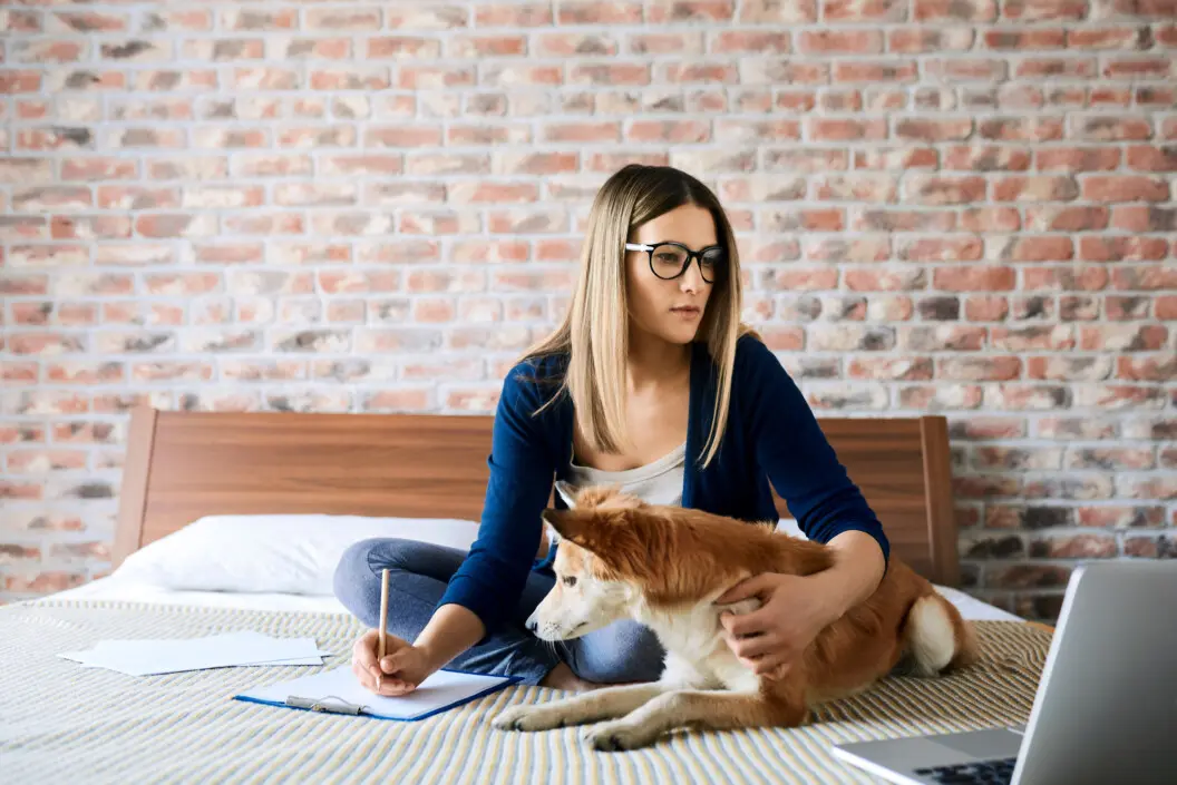 working from home allowance
