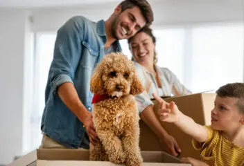 moving mistakes