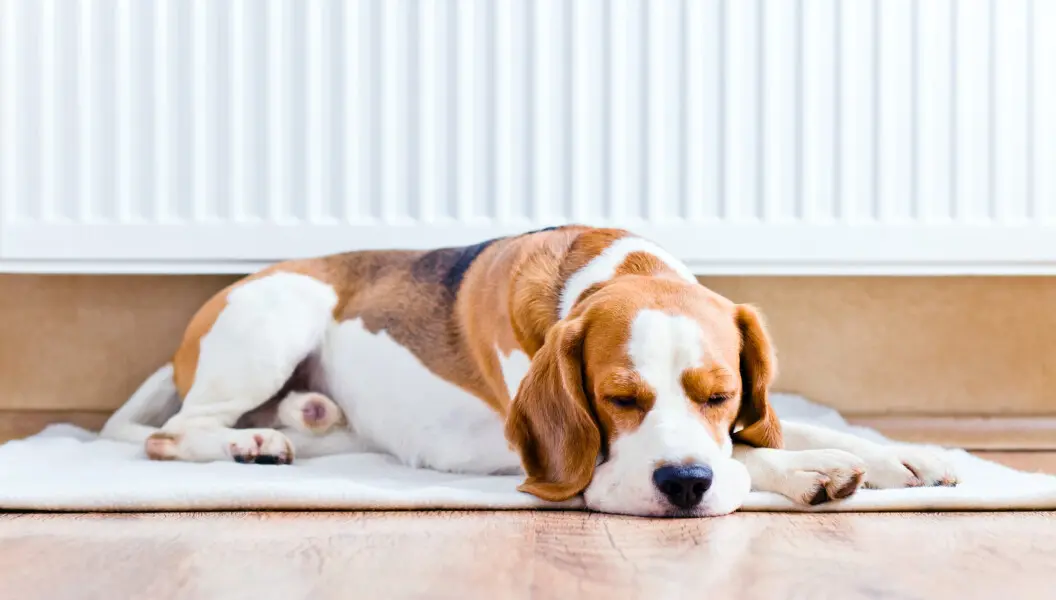 Top ten energy saving tips