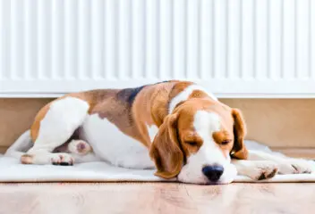 Top ten energy saving tips