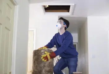 loft insulation costs
