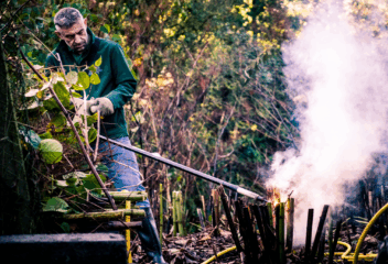 eradicate japanese knotweed