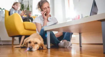 Should I remortgage now?