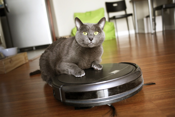 Five pet-friendly home improvements