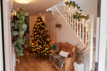 Real or fake Christmas tree: what’s better for the environment?