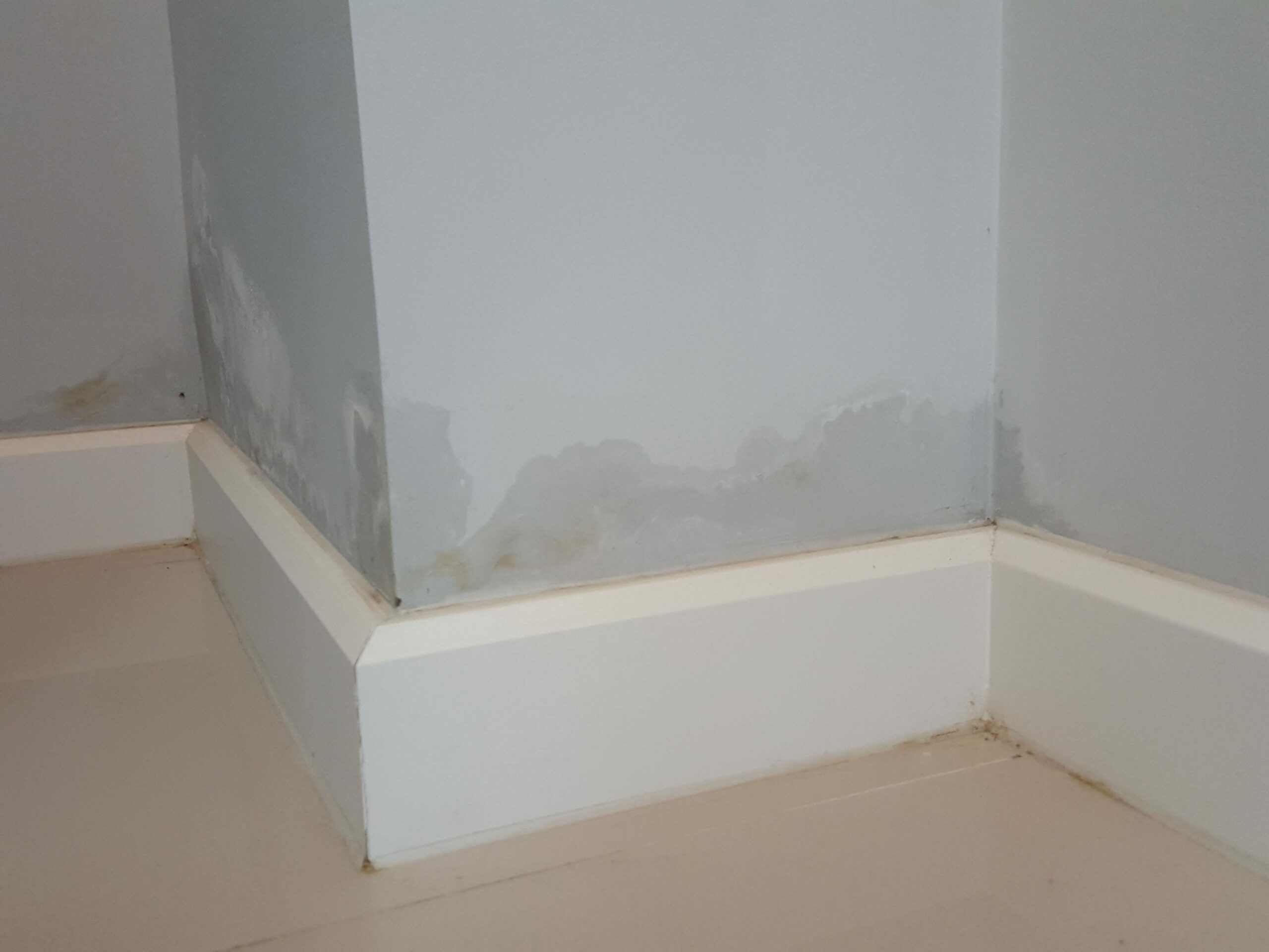 How to spot damp and get rid of it